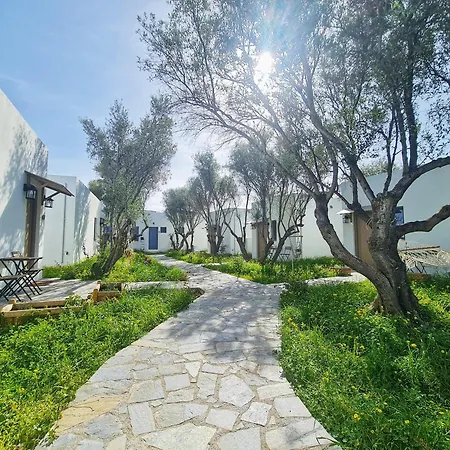 My In Crete *